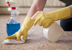 Как сделать эффективное средство для чистки ковров?