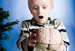 Как объяснить ребенку, что такое мозг и как он работает?